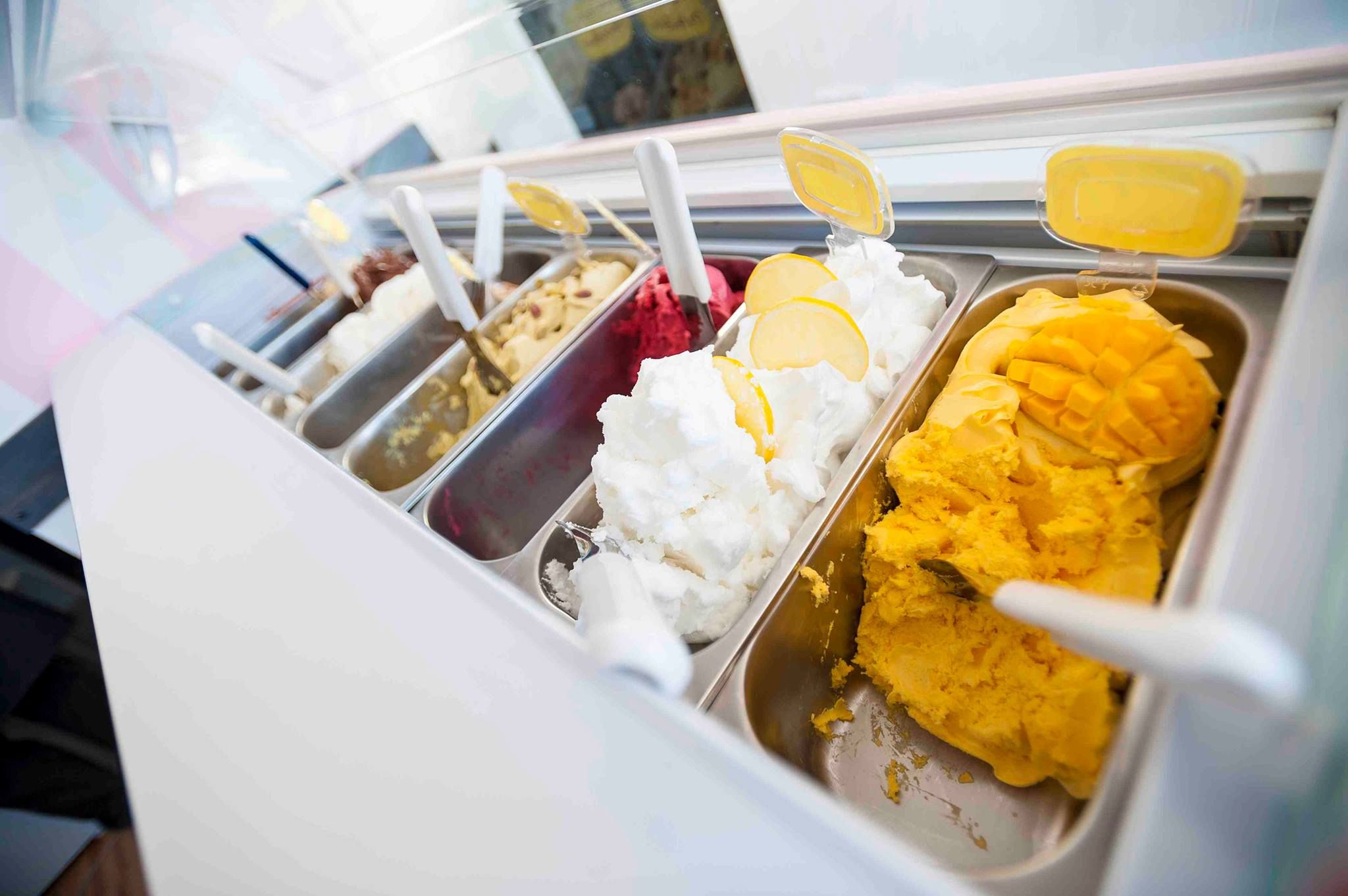 976691 150100365178340 1446290276 o fb81f8ae